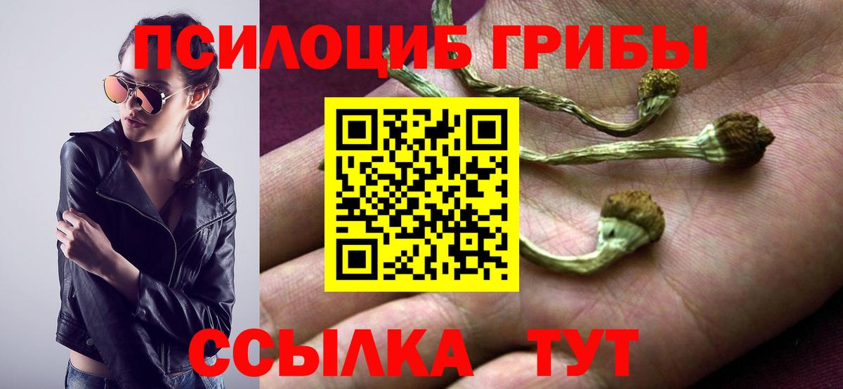 Галлюциногенные грибы GOLDEN TEACHER Сибай