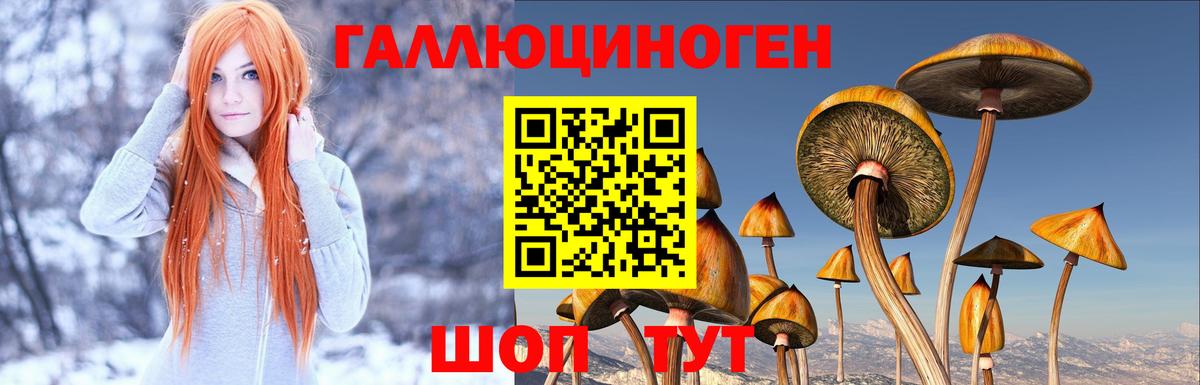 Сибай  Псилоцибиновые грибы Magic Shrooms  купить закладку  Вход с VPN 